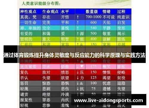 通过体育锻炼提升身体灵敏度与反应能力的科学原理与实践方法